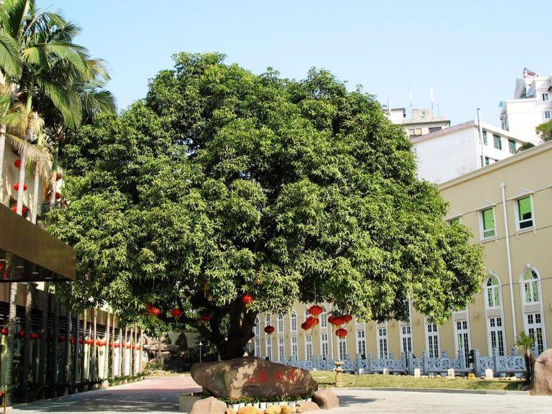 Hilford Hotel Сямынь Экстерьер фото